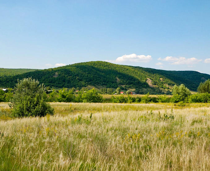 Самарская Лука с палатками